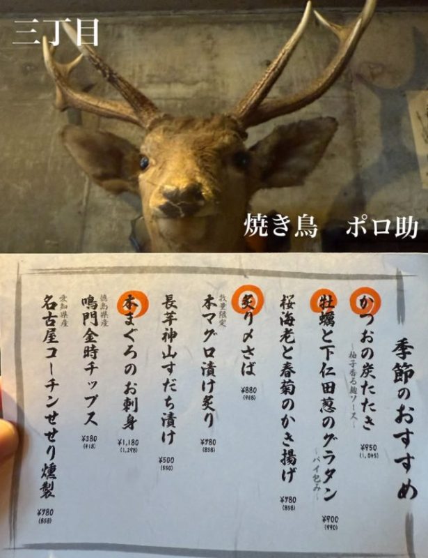 季節のおすすめ